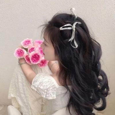 克里斯黛拉·阿朗索:中产阶级